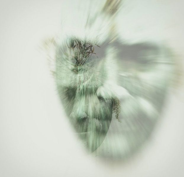 In Dreams: Whispers of the Subconscious by Maikel van der Beek