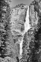 Yosemite National Park