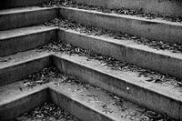 Real life still life stairs with leaves in Black & White