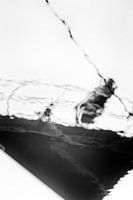 Réflexion d'un yacht dans l'eau. Sports nautiques en noir et blanc.