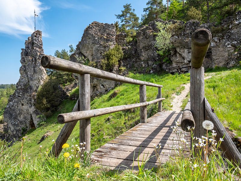 Uit in Frans Zwitserland in de zomer van Animaflora PicsStock