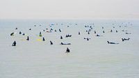 Les surfeurs au Noordpier