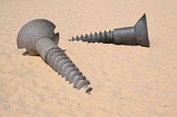 Sculpture by the Sea