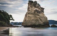 Kathedralenbucht Te Whanganui-A-Hei Neuseeland