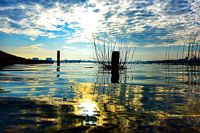 Reflectie van de Lentezon