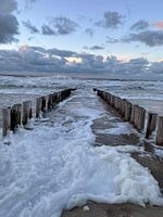 Nordseeschaum in der Abendsonne