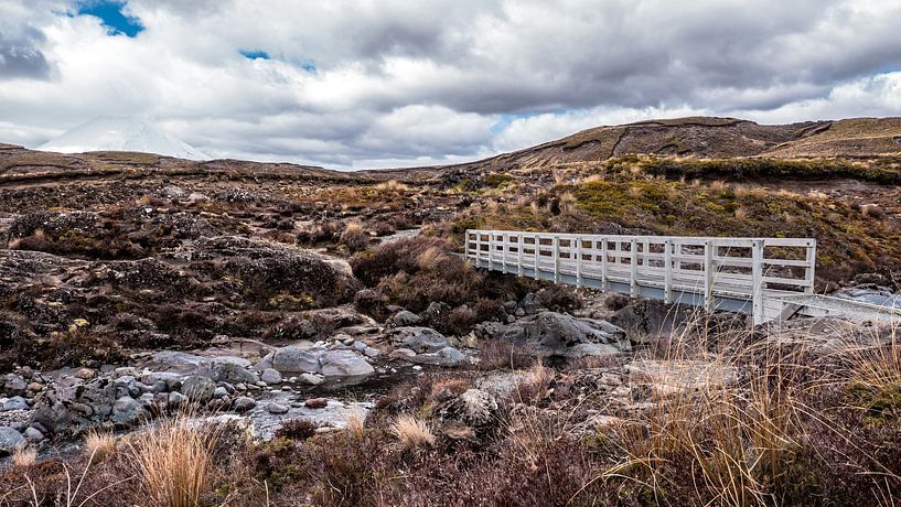 Landschaft mit Brücke von YesItsRobin