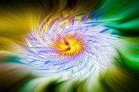 Passionsblume abstrakt