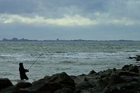 Studie: De Kaloot, Borssele - Zeeland