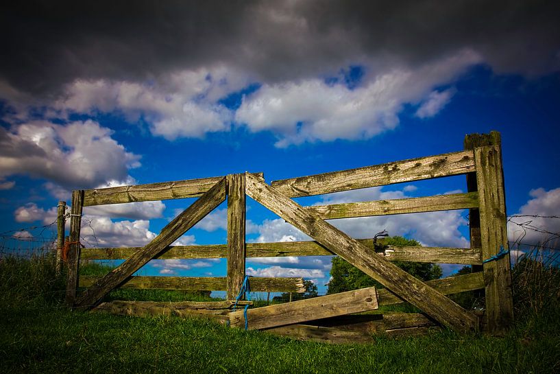 The Fence by Nildo Scoop