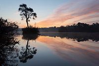 Zonsopkomst in de Oisterwijkse Vennen