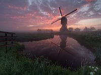 Large Buckets - Langerak