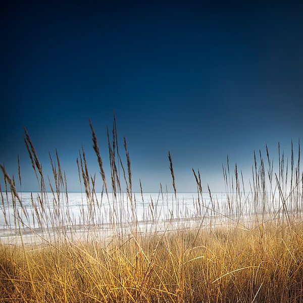 Beach with dunes on the Baltic Sea near Scharbeutz by Voss photography