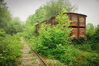 Verlassener Eisenbahnwagen zwischen der Vegetation