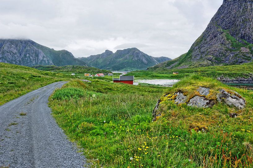 Ein Sommerabend auf der Insel Langøya van Gisela Scheffbuch