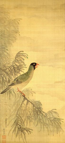 Blaugrüner Sittich, Maruyama Ōkyo von Meisterhafte Meister