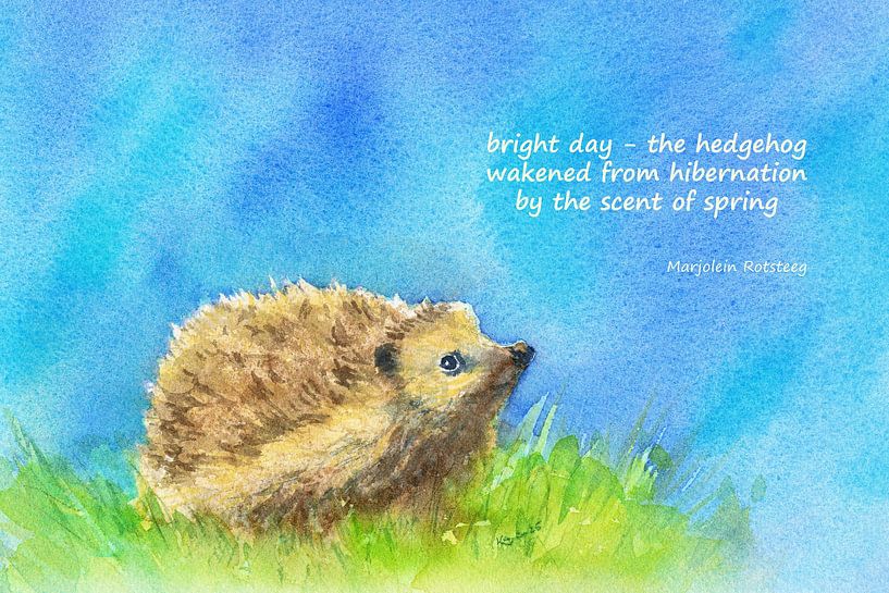 Der Duft des Frühlings Igel Haiku Englisch von Karen Kaspar