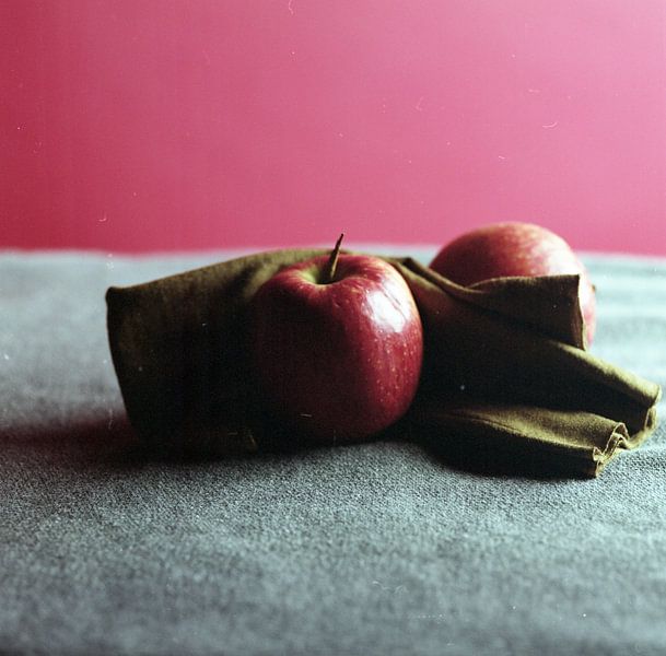 rotes Stilleben-Portrait von Sanne Van der avoird