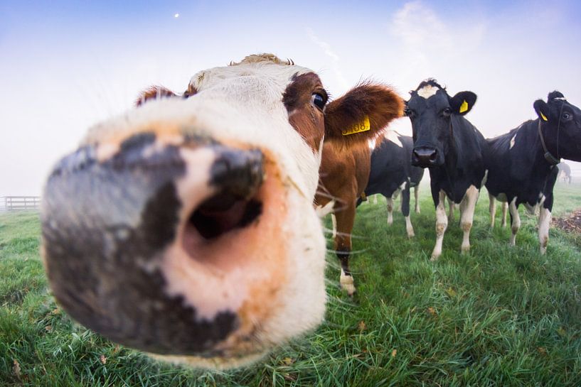 Hallo daar! van Jordy Kortekaas