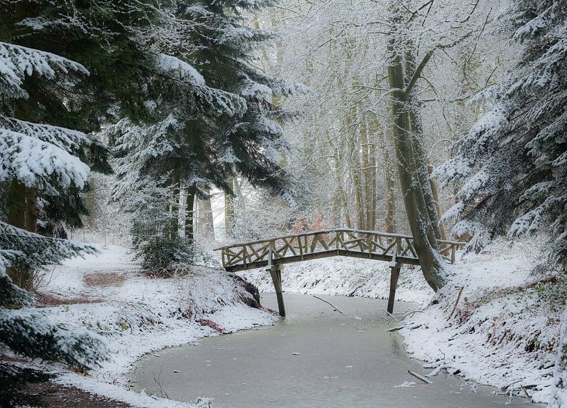 Winterlandschaft im Wald von Margreet Piek