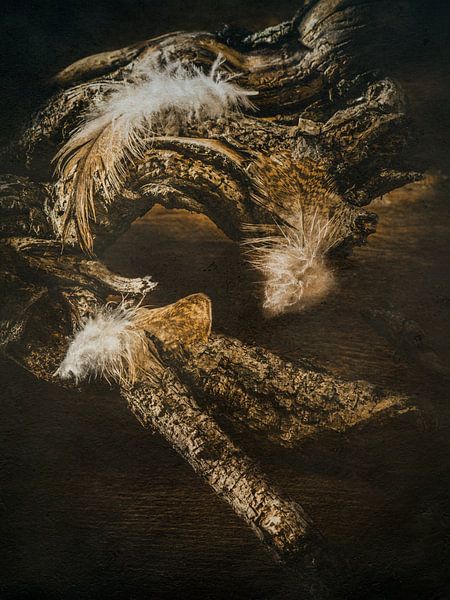 Cercle par Miriam Meijer, en pleine campagne.....