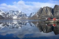 Norvège Lofoten Paysage de Hamnoy