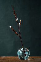 Willow catkins in glass vase against dark background