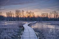 Ein kalter Wintermorgen auf einem Terrassenweg