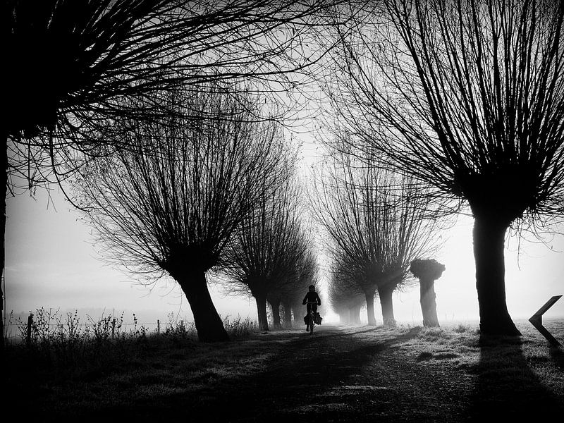 Der einsame Radfahrer von Lex Schulte