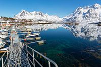 Norwegen kleiner Hafen auf den Lofoten