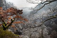 Winter in den Vogesen