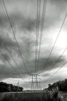 "Nature seen achromatically"