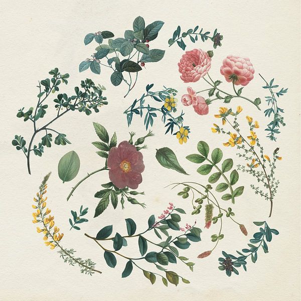 Victorian Garden II, Wild Apple Portfolio by Wild Apple