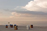 Dans la douce lumière du soir