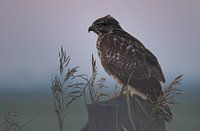 Le gardien de la plaine