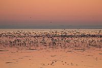 Sonnenuntergang im Wattenmeer