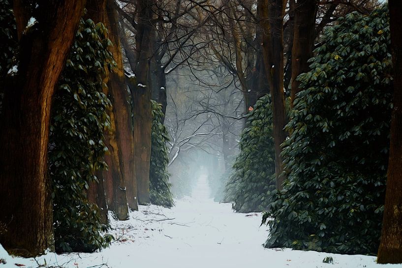 Le chemin vers l'hiver par Martin Podt