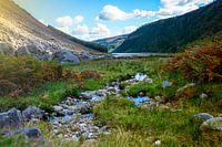 Ireland's fairytale: nature, peace, magic
