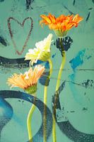 Ein Herz für Gerbera