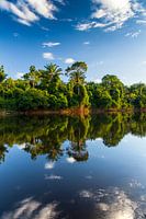 View of the Suriname River, Suriname