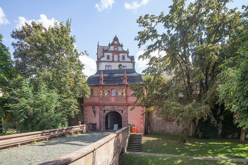 Darmstädter Residenzschloss von Torsten Krüger