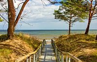 Lever de soleil sur la plage