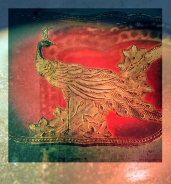 Peacock par Susan Stiletti