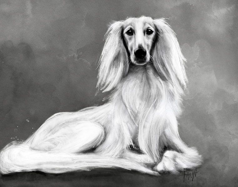 Saluki Zar by Tanja Kooymans