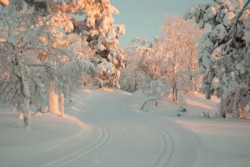 Langlaufpad by Miranda Zwijgers