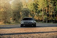 A star in the forest