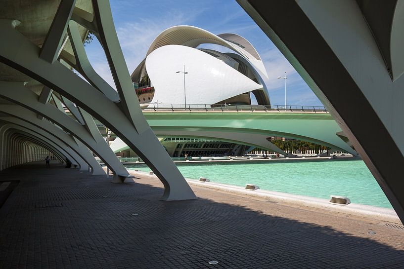 Valencia - Ciudad de las Artes y las Ciencias by Frank Herrmann