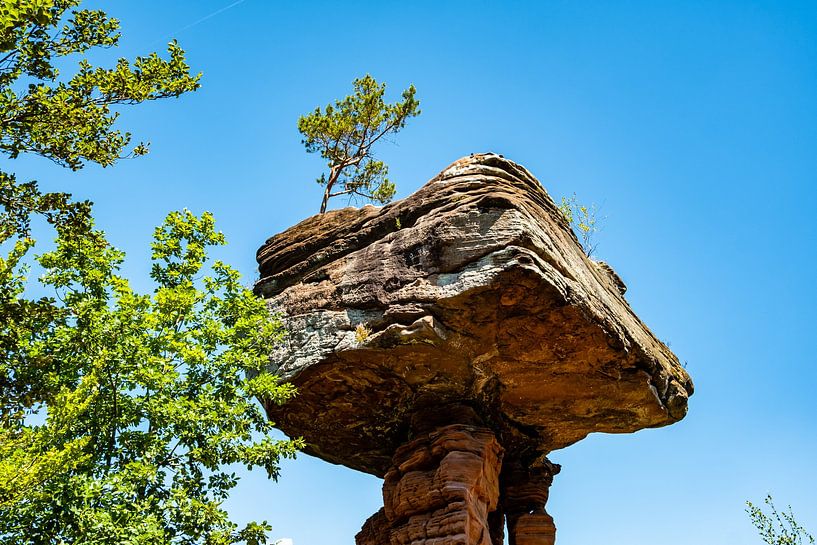 Teufelstisch im Pfälzer Wald von Dieter Walther