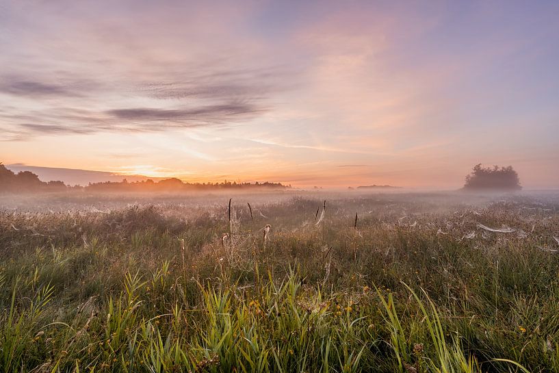 Kleurige en mistige zonsopkomst van Dafne Vos
