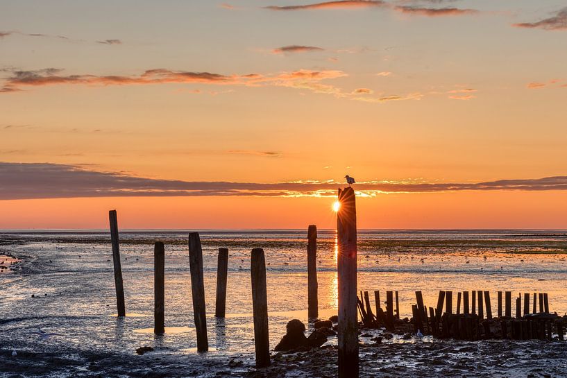 Sunrise on Texel by Annette Roijaards